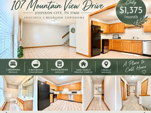 103 Mountain View Dr, Johnson City, TN 37601
