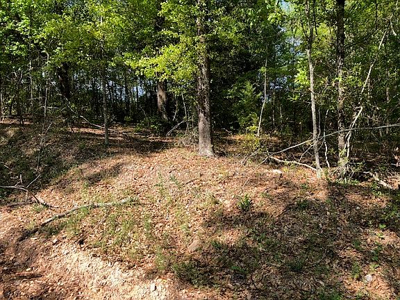 5th image of 3664 Lee Road 42