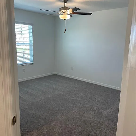 32077 Powderpuff Mimosa Dr — Photo 23