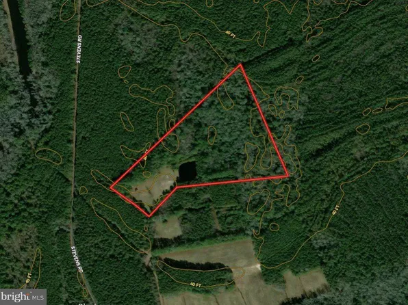 0 Stevens Rd, Snow Hill, MD 21863