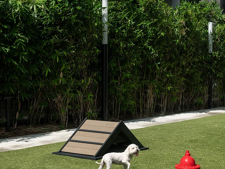 Pet Play Area