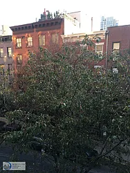 Rented by Metropolitan Property Group