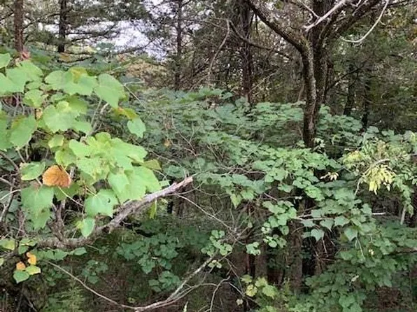 Apache Dr, Eureka Springs, AR 72631