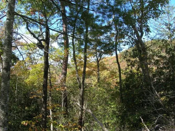 LOT 4 Chimneytop Hts Lot 4, Bryson City, NC 28713