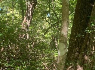 155 Bonnie Lee Ln, Lake Lure, NC 28746