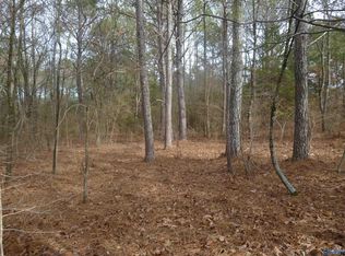 21235 State Highway 75, Henagar, AL 35978