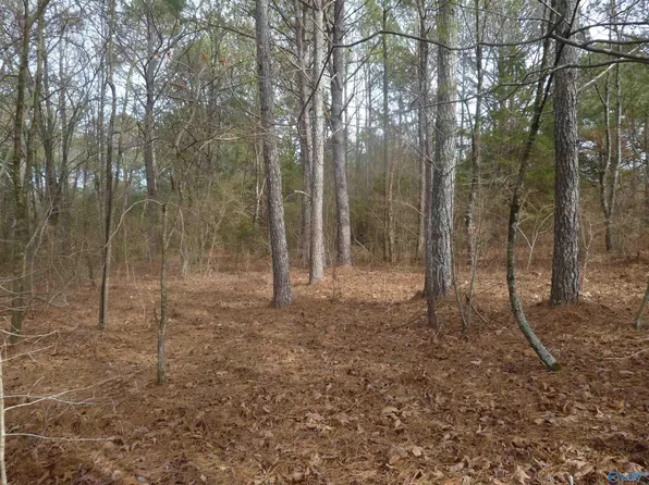 21235 State Highway 75, Henagar, AL 35978