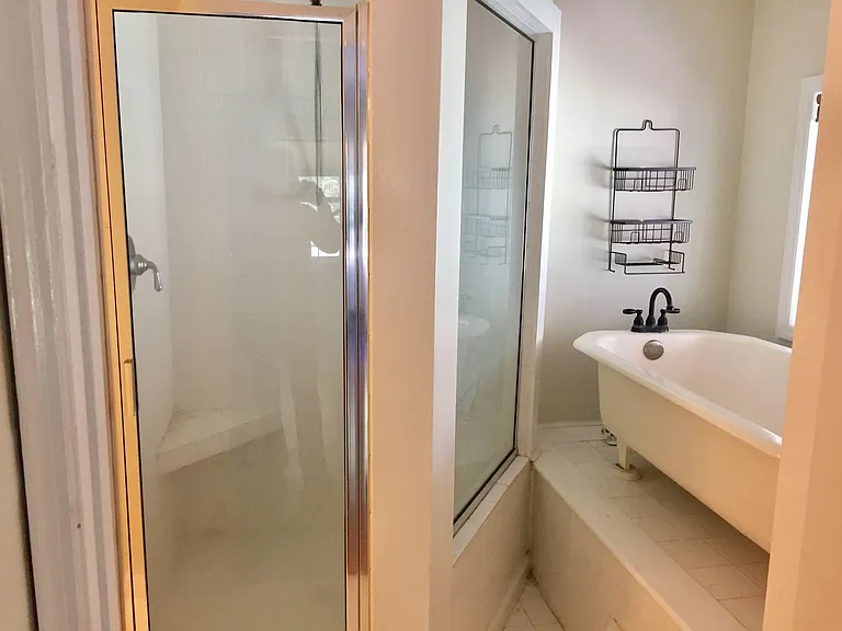 Master Bath Shower