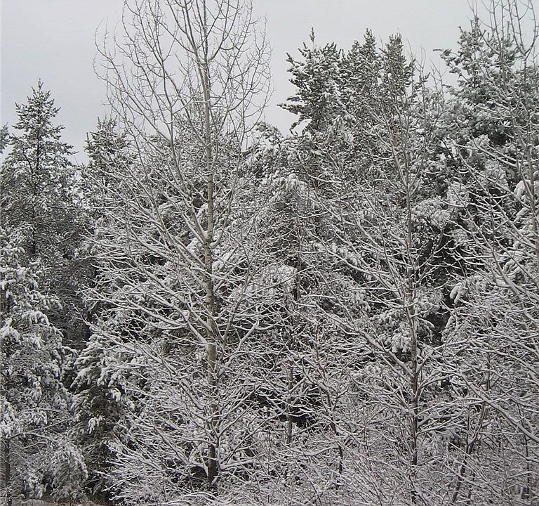 1st image of 0 Spaulding Road