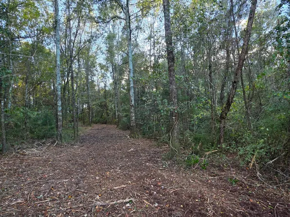 0 Cuthriell Rd, Samson, AL 36477