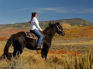 Tdb Cattle Creek Rdg #104-335, Carbondale, CO 81623