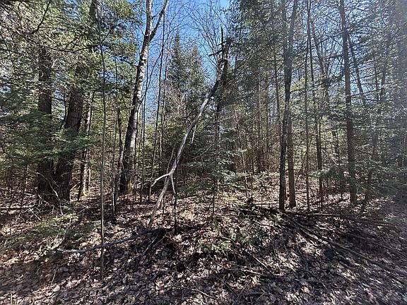 3rd image of S Gerber Rd