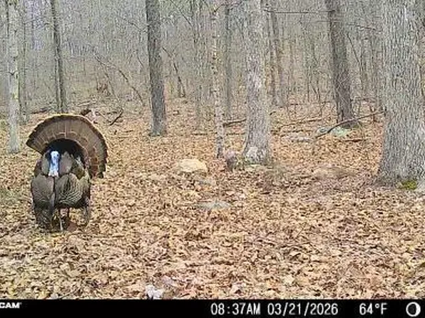 0 Highway O, Fredericktown, MO 63645