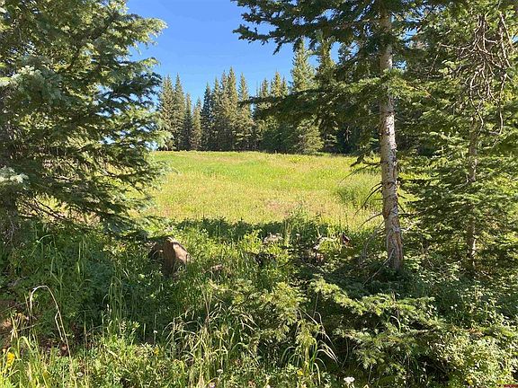5th image of TBD County Road 864A