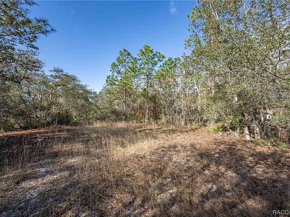 5th image of 93 Cypress Blvd E