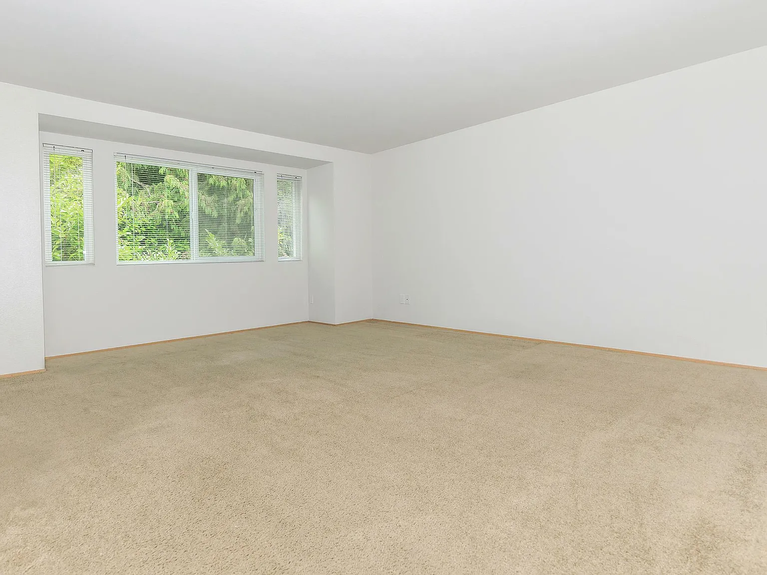 620 Comstock Street — Photo 3