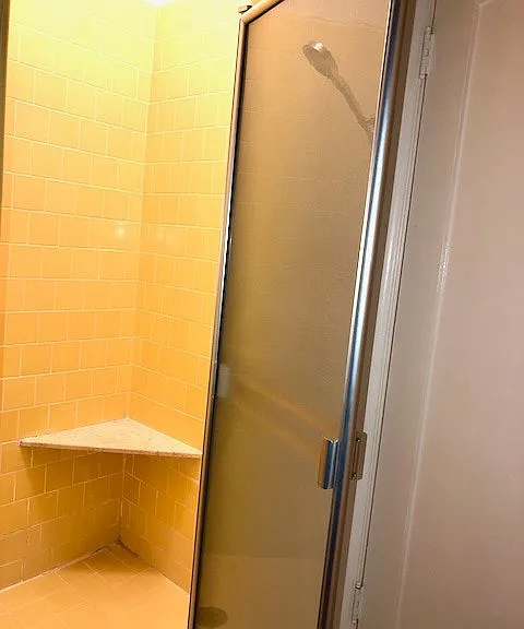 Ensuite Shower (Bedroom/Guest)