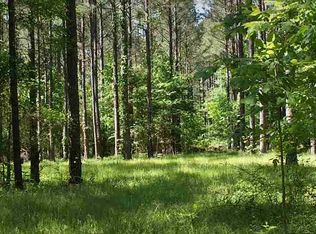 1173 Barker Rd, Pelahatchie, MS 39145