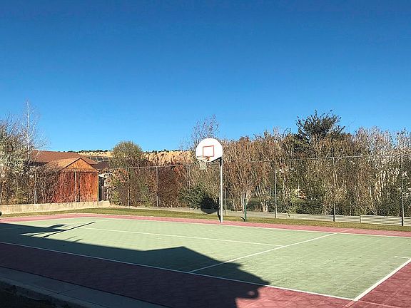 Basketball Hoop