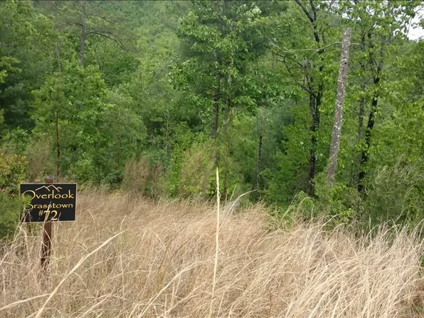 LOT 72 Brasstown Vw, Brasstown, NC 28902