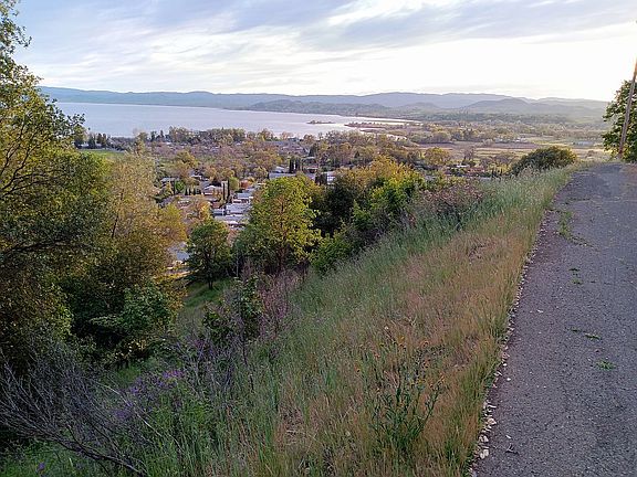 Clear Lake Shoreline