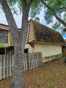 12715 Tall Pine Dr, Tampa, FL, 33625