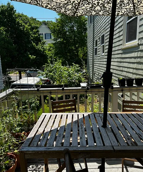 163 Roslindale Ave #2 — Photo 22