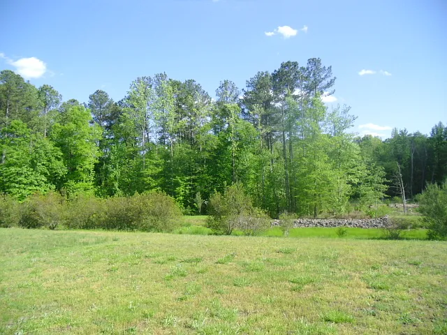 816 Statler Dr — Photo 8
