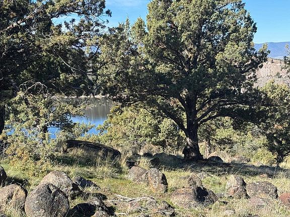 3rd image of Juniper Peak Rd Unit 3