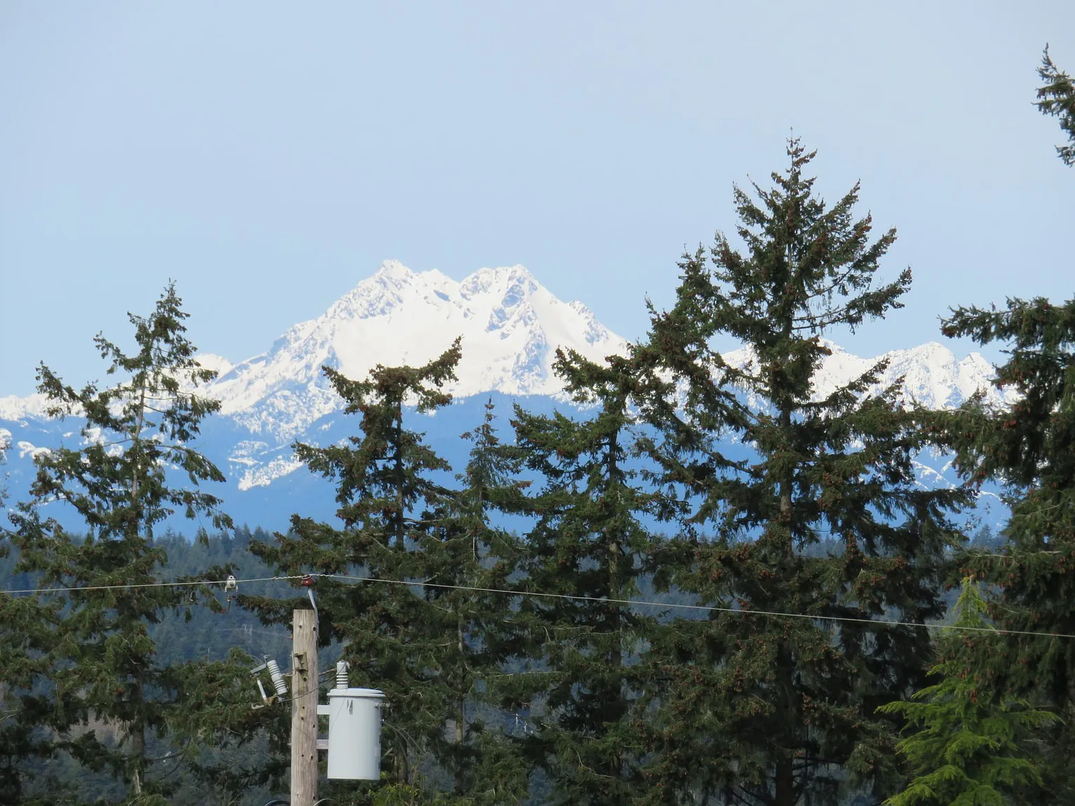 3 bed, 1545 sqft, $2,700 — Photo 3