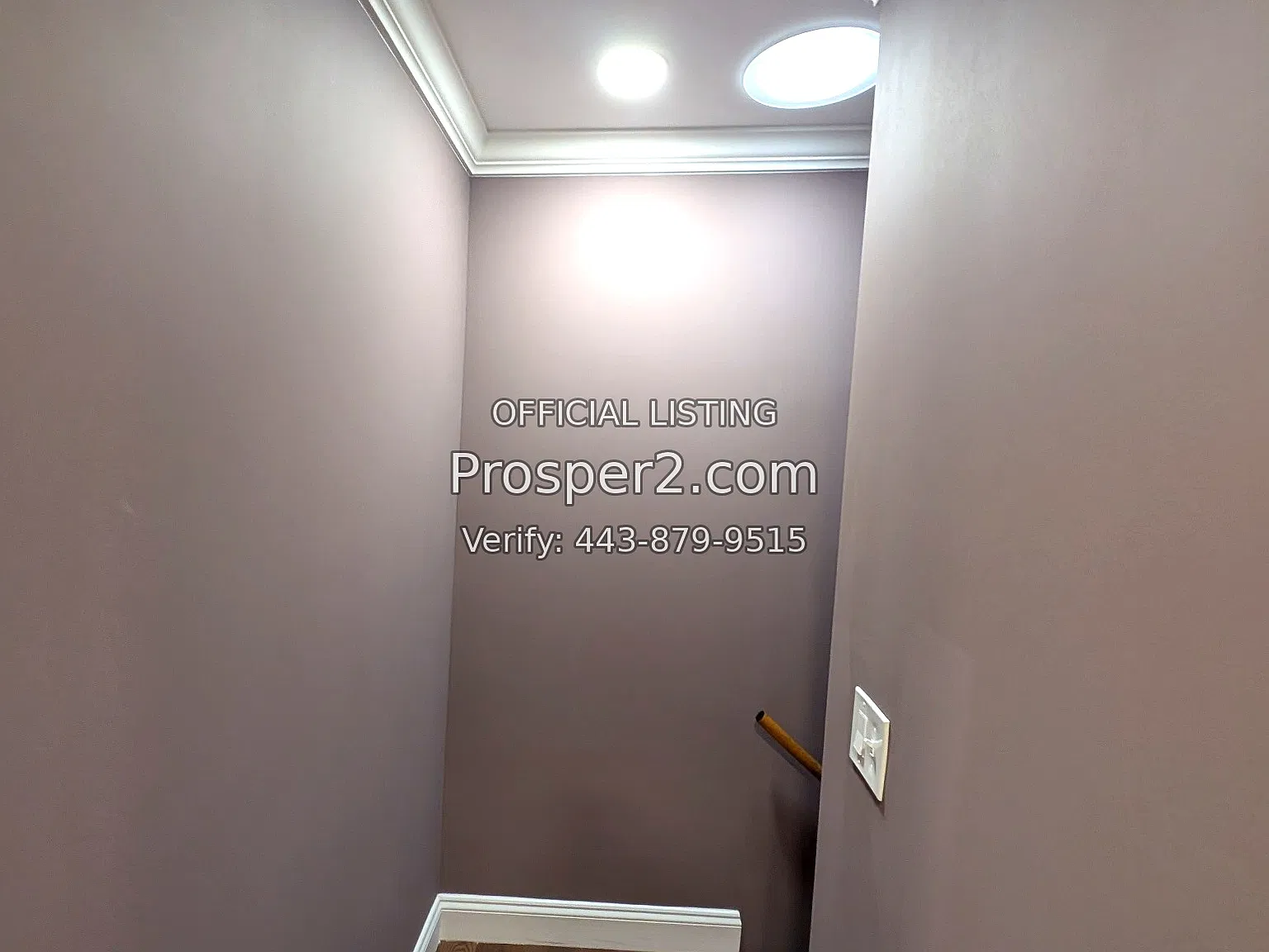 2 bed, 740 sqft, $2,500 — Photo 4