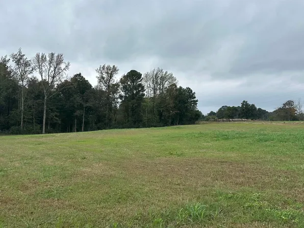 0 Mount Carmel, Eva, AL 35621