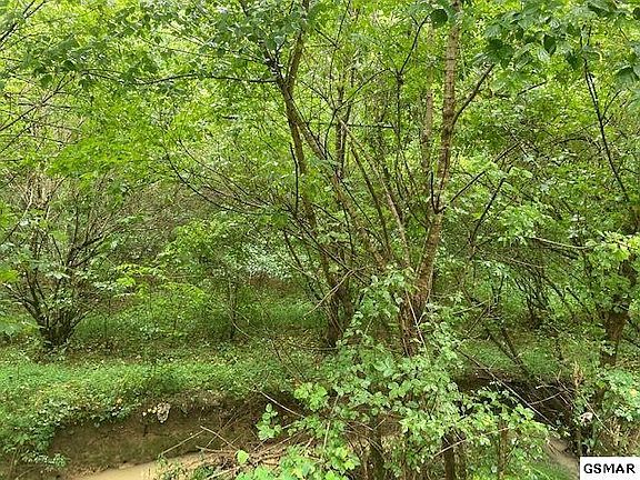 5th image of 12 Bear Creek Rd