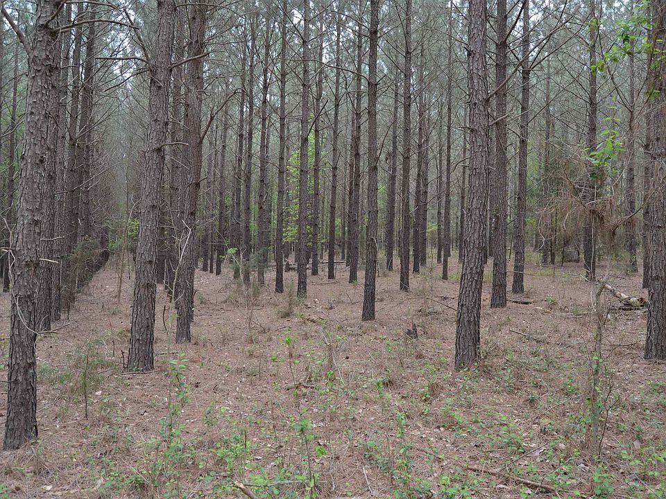 1307 Farming Creek Rd, Irmo, SC 29063 MLS 559690 Zillow