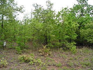 1st image of 6172 Highway 62 E