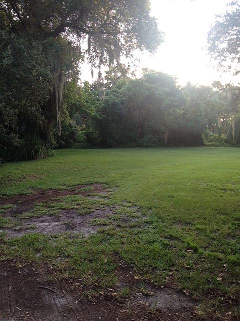 2nd image of Shadylawn