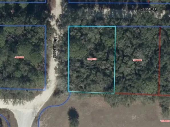 NE 50th Pl, Williston, FL 32696