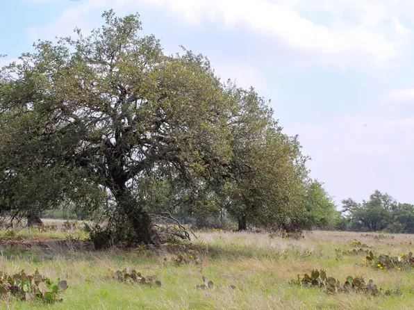 153 Lipan Loop, Harper, TX 78631