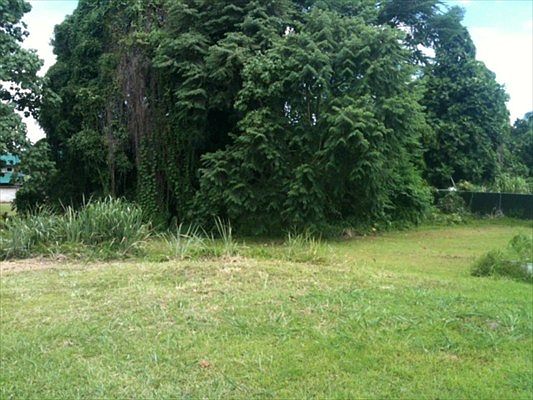 1st image of Kehaulani St