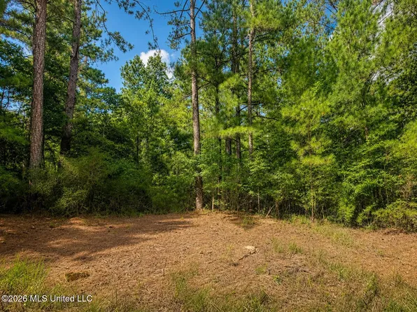 Man Moulds Rd, Lucedale, MS 39452
