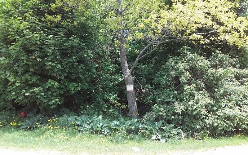 1st image of 24 Trillium Dr