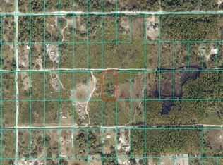TRACT 343 SW 156th Pl LOT 343, Dunnellon, FL 34432