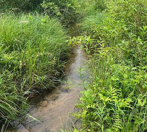 5th image of 667 Pierce Rd