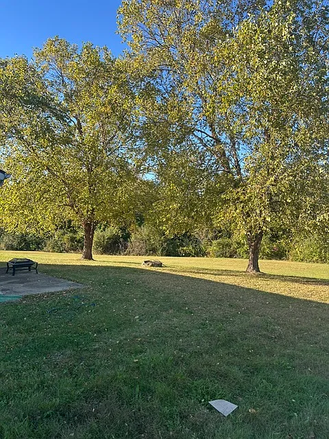 3 bed, 1216 sqft, $1,850 — Photo 2