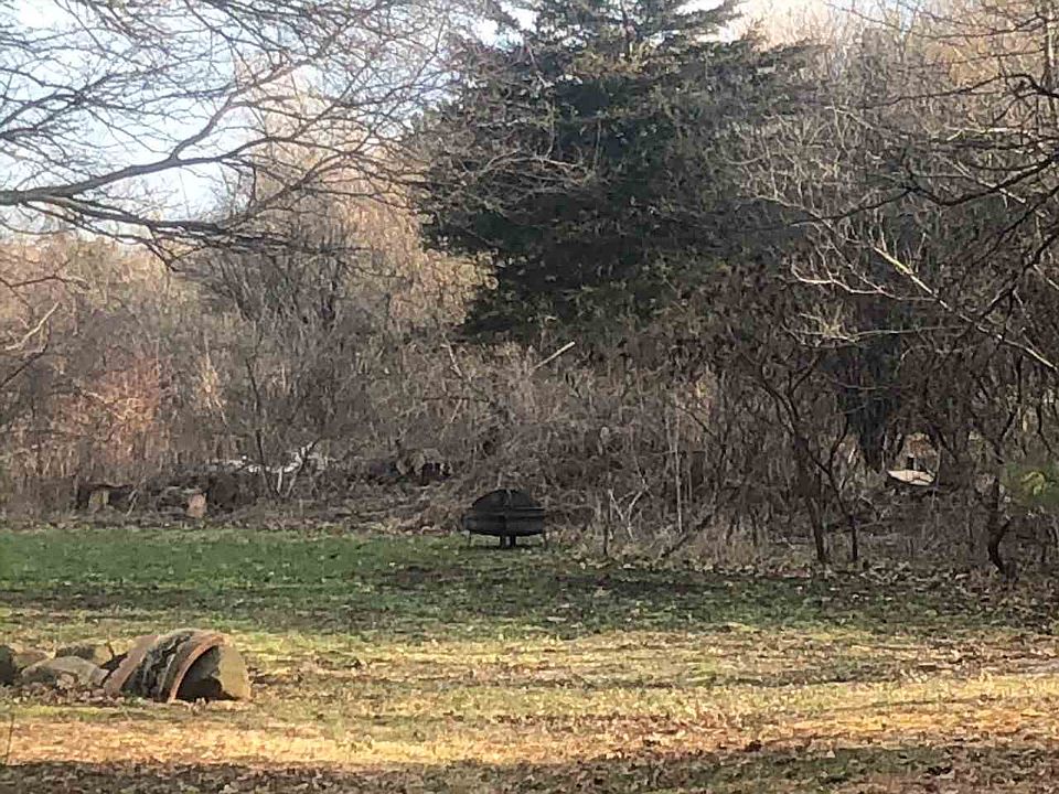 2nd image of 2624 Freeport Rd