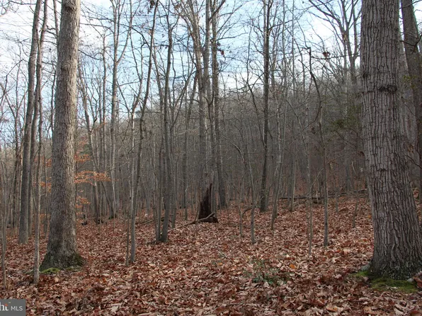 Chapman Ln, Boyce, VA 22620
