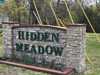 824 Meadow Lane, Branson, MO, 65616