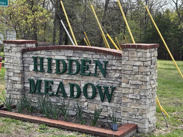 824 Meadow Lane, Branson, MO 65616