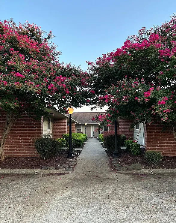 1 bed, $750 — Photo 1