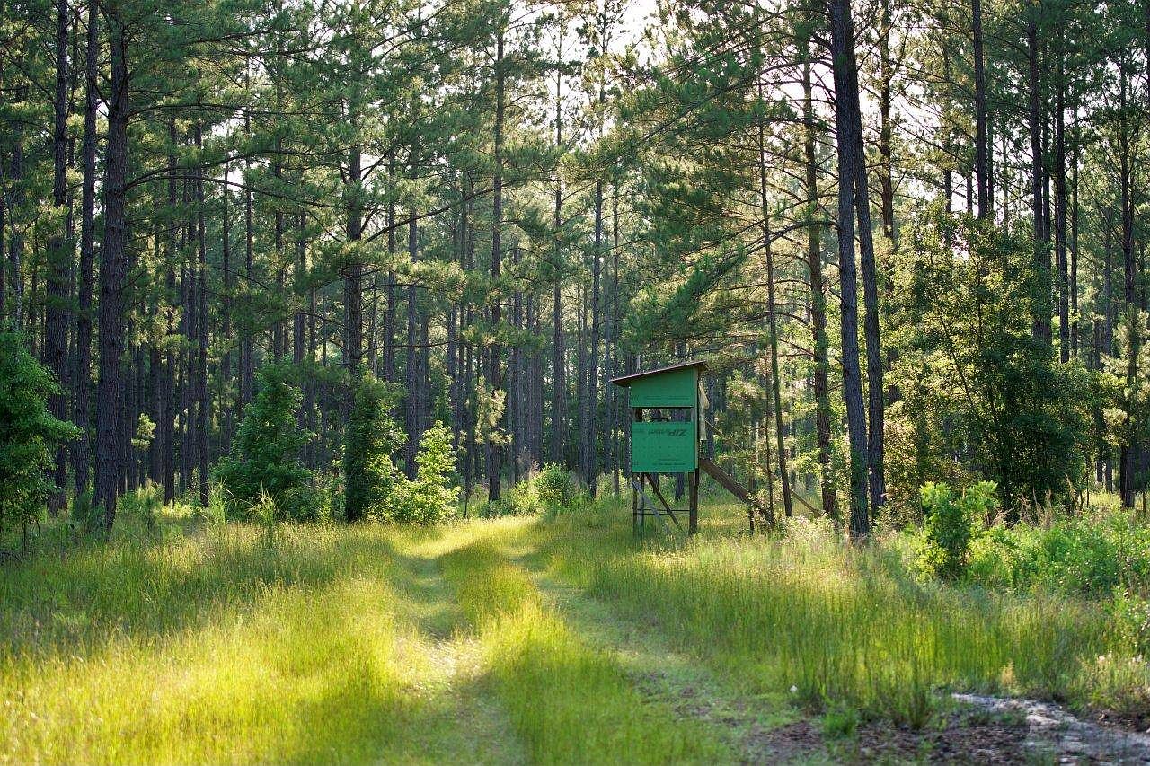 0 Ashton Rd, Islandton, SC 29929 Zillow